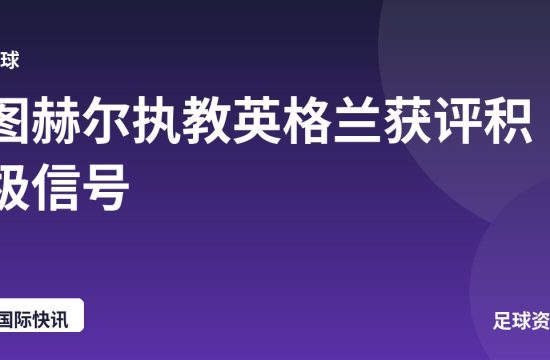 图赫尔执教英格兰获评积极信号